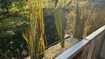 Terrain de l’hébergement