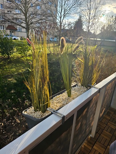 Ferienwohnung 'San Marino 2' mit Balkon und Wi-Fi