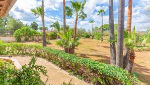 A garden with palm trees and a paved walkway. - Es Garroveret - Villa With Private Pool. Free Wifi (, Illes Balears)