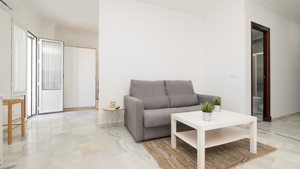 A modern living room with a grey sofa, a white coffee table, and a small side table with a plant.