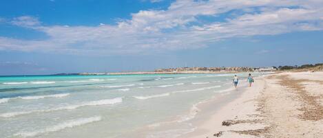 Playa en los alrededores