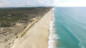 Ett kustlandskap med en sandstrand och ett skogsområde.