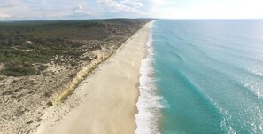 Vue sur la plage/l’océan