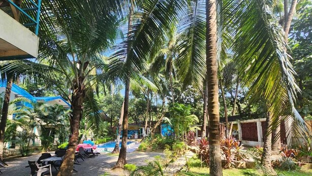 A resort with palm trees, outdoor seating, and a pool area. - La Perla Resort By Circle Hotels&Resort (Morjim)