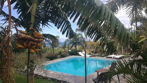 Pool - Apartment Padres A for 4 people (Santa Cruz de Tenerife)