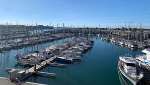 A marina with numerous boats docked, a clear sky, and a distant shoreline with buildings.