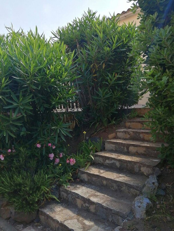 Áreas de la propiedad