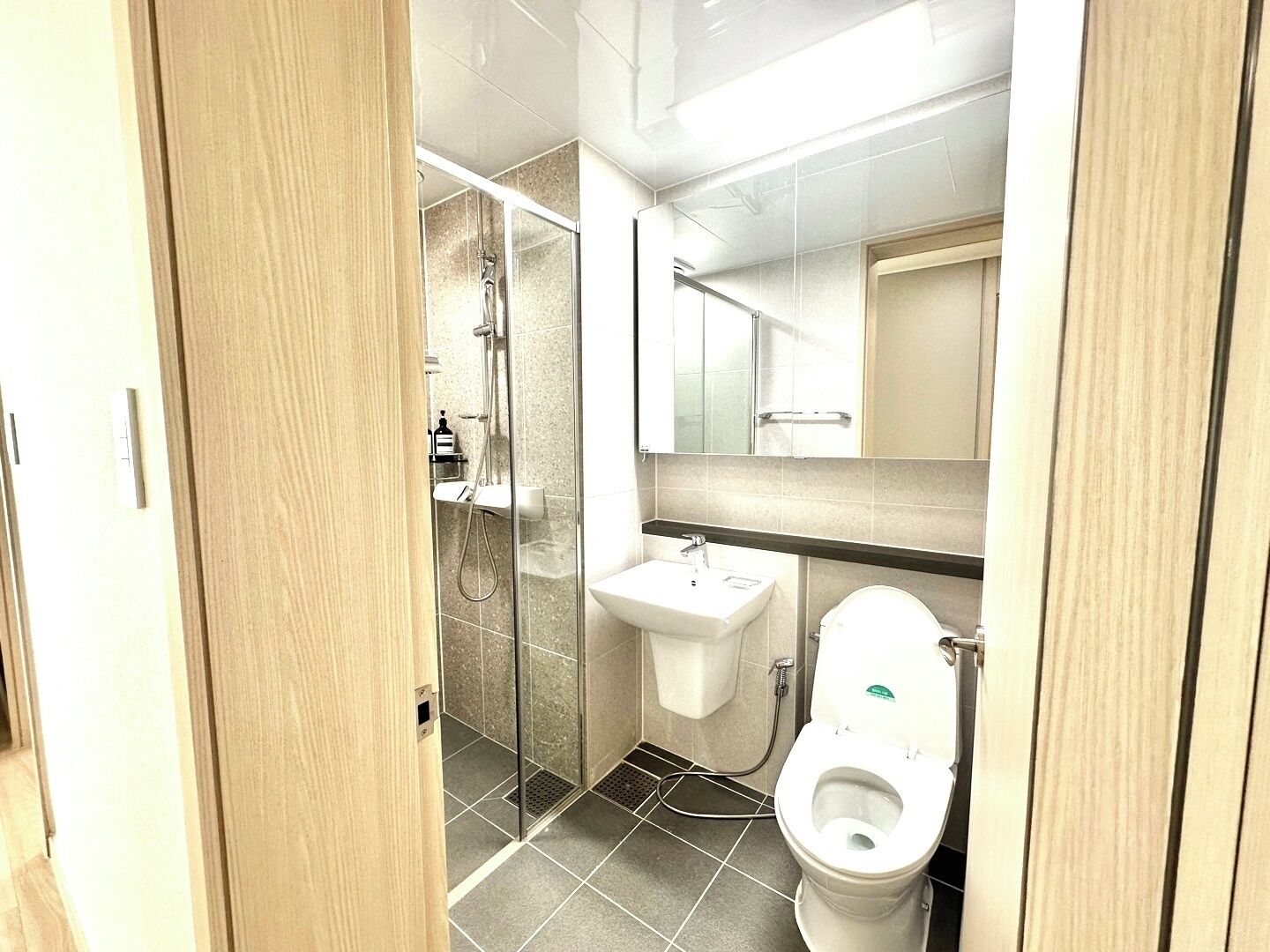A modern bathroom with a glass shower enclosure, a sink, and a toilet.