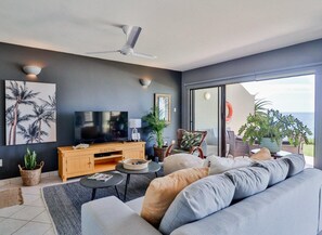 Smart TV, fireplace, books