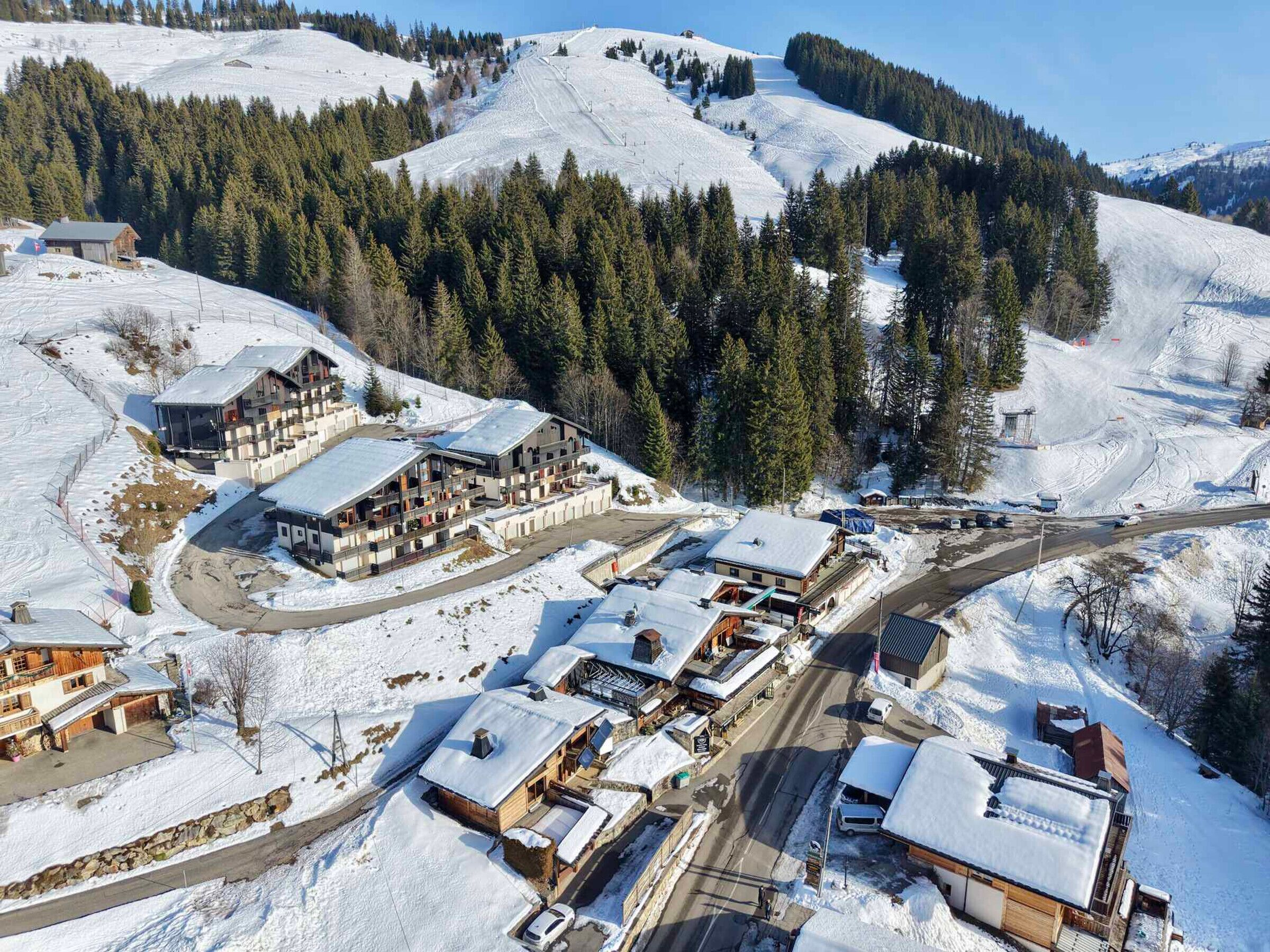 A snow-covered mountain resort with multiple buildings, including a large lodge and smaller cabins, surrounded by dense forests.