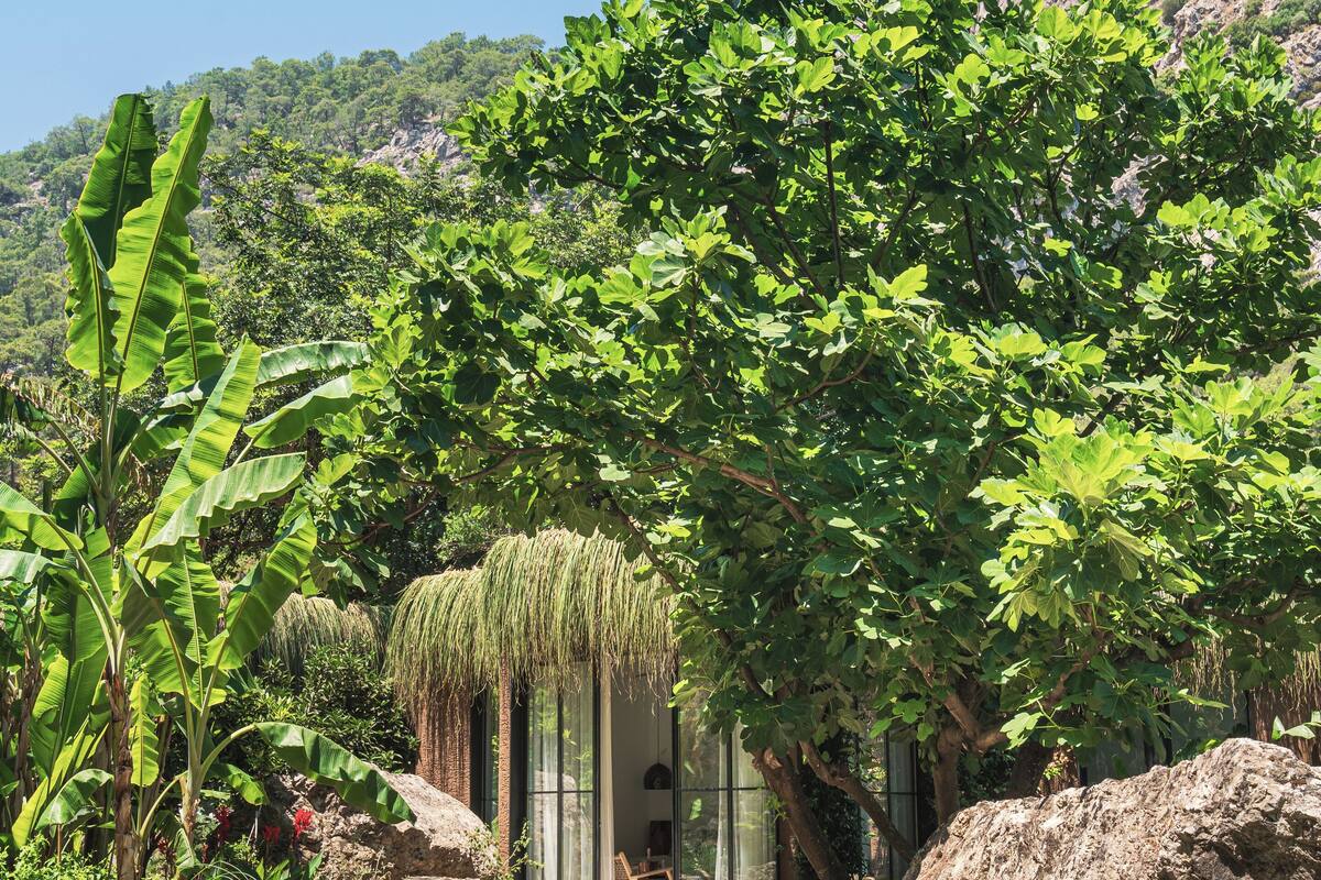 A wooden deck with outdoor seating, surrounded by lush greenery and a mountain backdrop.
