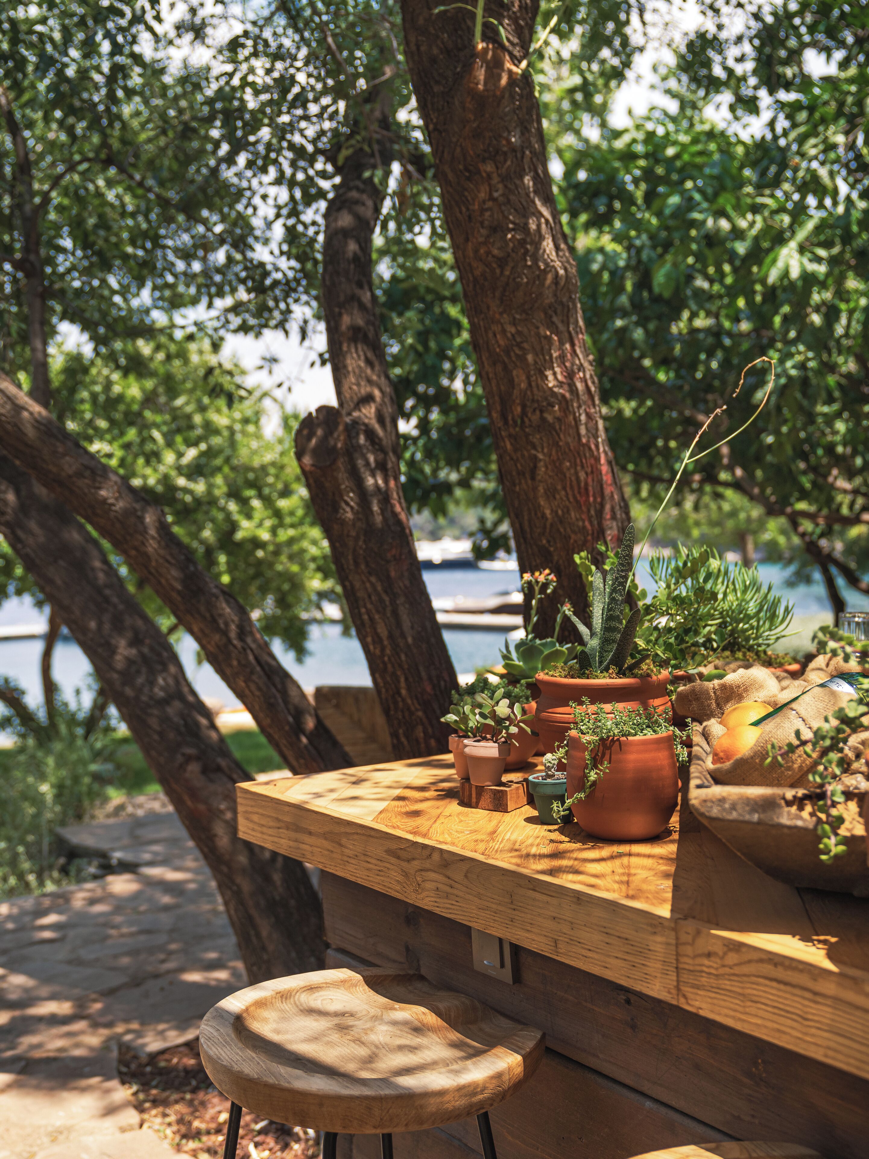 A wooden table with potted plants and a bench.