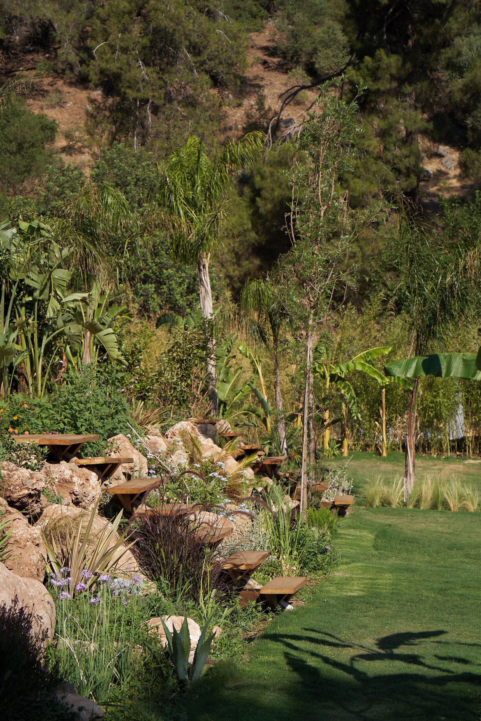 A lush garden with a variety of plants, rocks, and a picnic table.