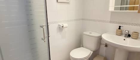 Douche, séchoir à cheveux, serviettes fournies