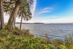 A coastal landscape with trees and a view of the water. - Puzzle Point Lodge in Poulsbo (Poulsbo)