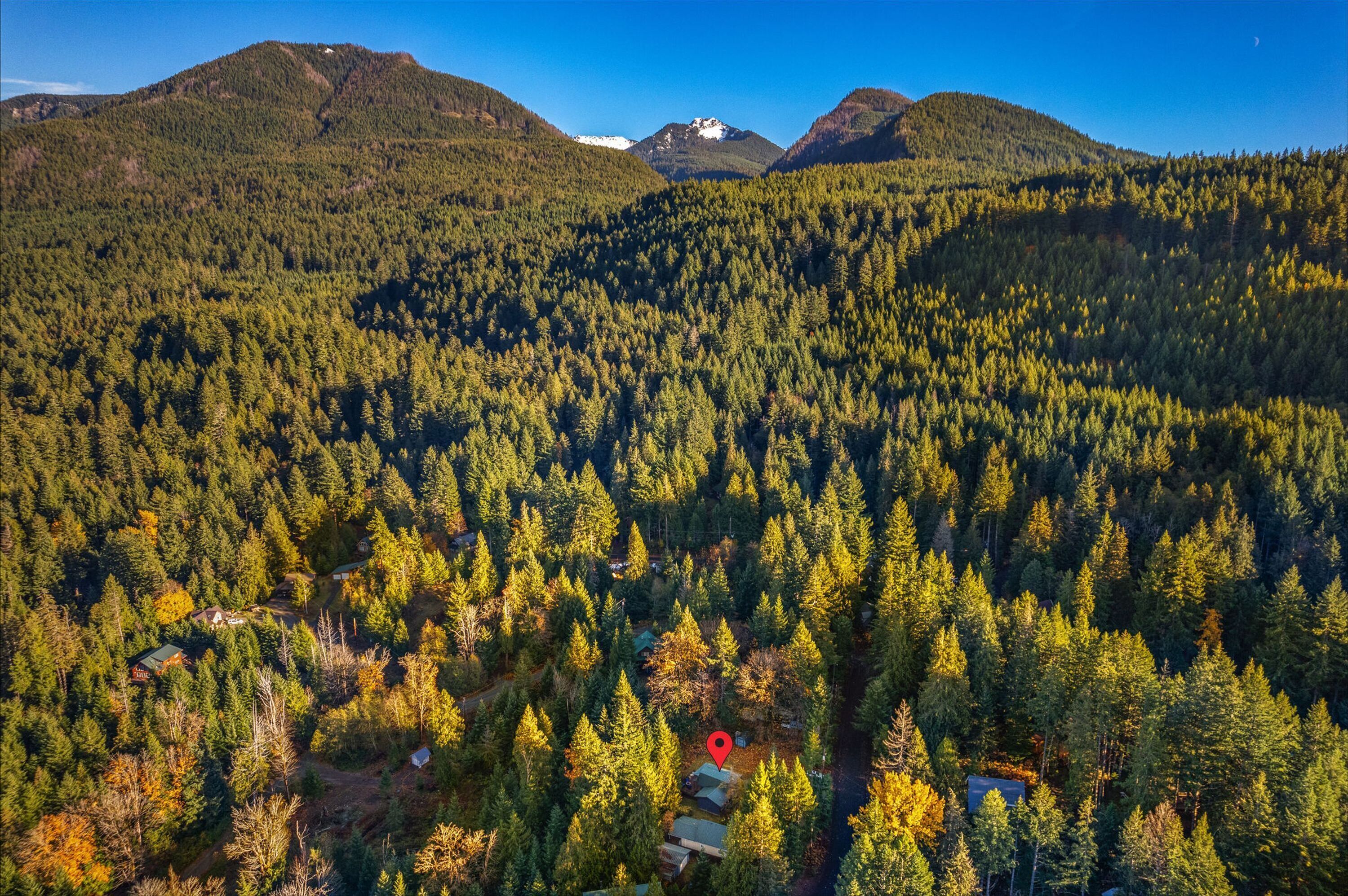 An aerial view of a forested area with several cabins and a mountain range in the background.
