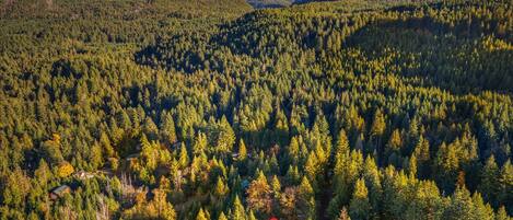 An aerial view of a forested area with several cabins and a mountain range in the background.