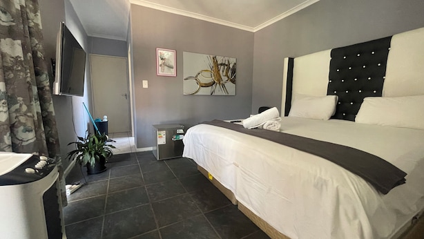 A modern hotel room with a large bed, a flat-screen TV, a small bedside table, a potted plant, and a wall-mounted artwork. - Zoe & Saint (Cape Town)