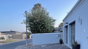 A paved driveway leading to a building with a blue exterior and a large tree in the background. - Zoe & Saint (Cape Town)