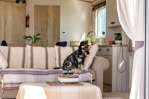 Una sala de estar acogedora con un sofá, una mesita con un libro y un perro sentado en el sofá.