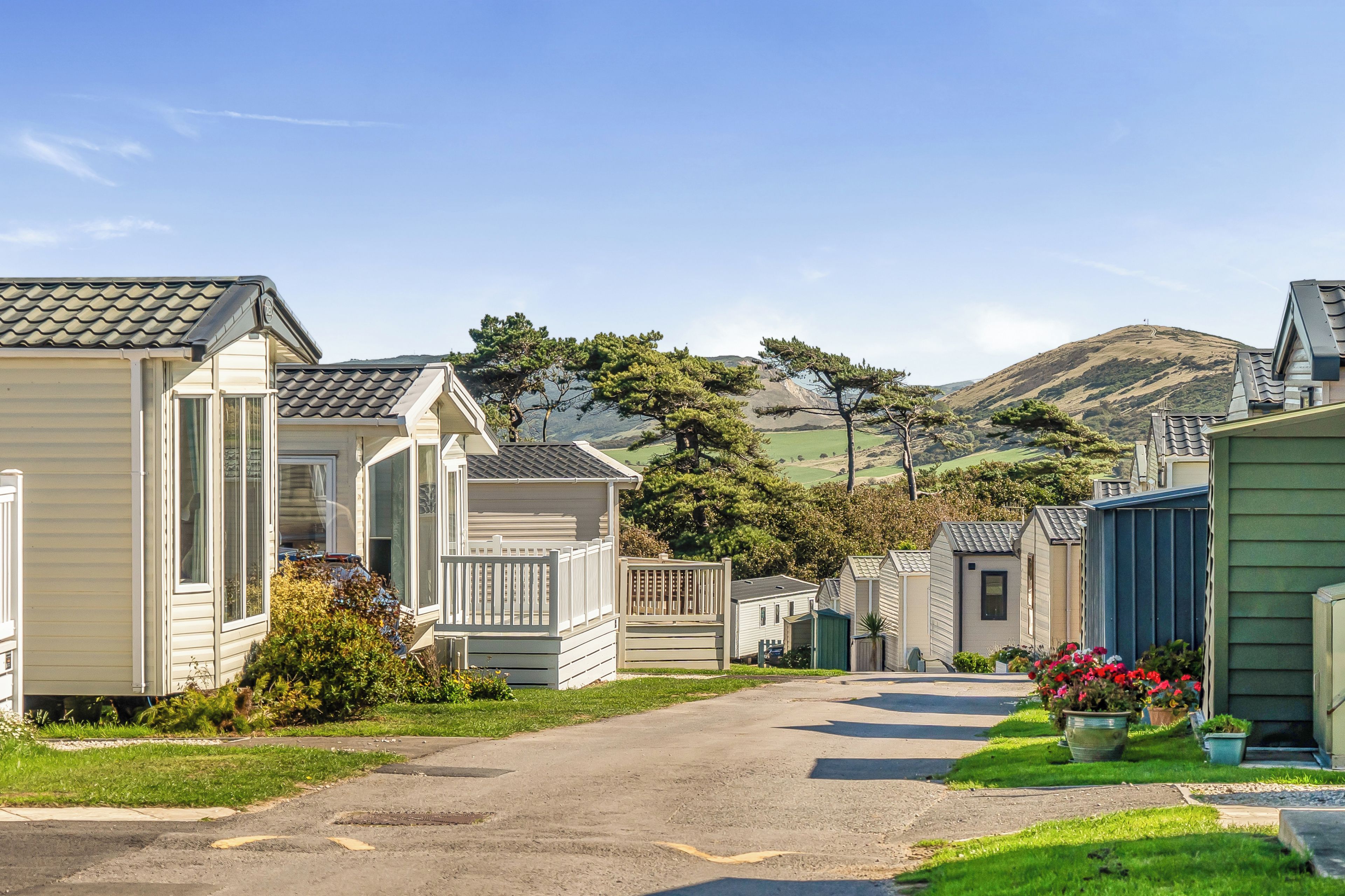 A row of mobile homes with a paved driveway and a grassy area in front.
