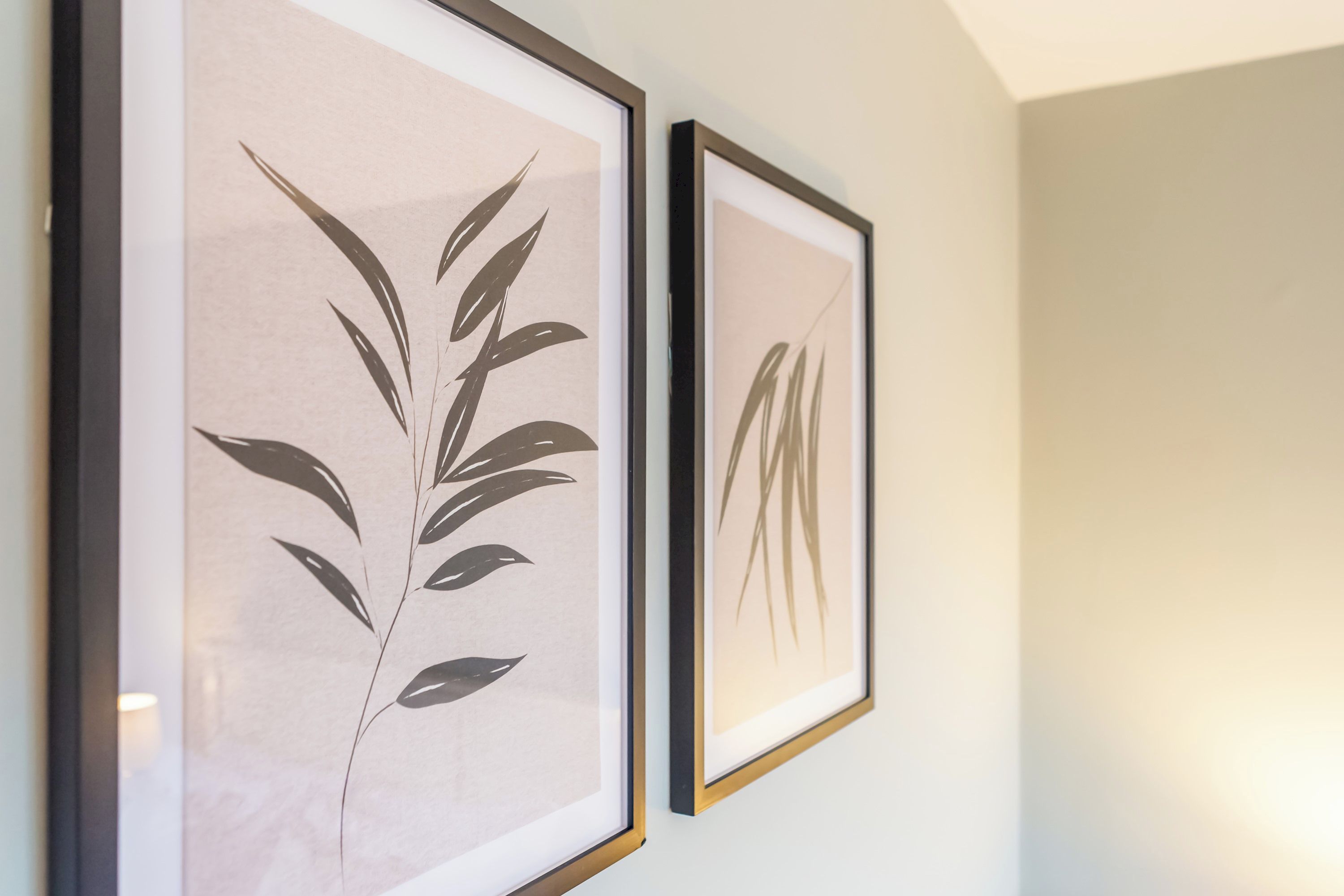 Two framed botanical prints on a wall.