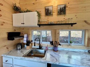 Fridge, microwave, stovetop, coffee/tea maker - Starry Night | Hot Tub | Brand New Studio (Stanton)