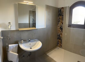 Shower, hair dryer, bidet, towels