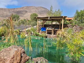 المنطقة المحيطة بالمنشأة