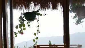 A wooden bench with a view of a rural landscape through a glass door.