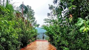 A pathway leading to a gate surrounded by lush greenery.