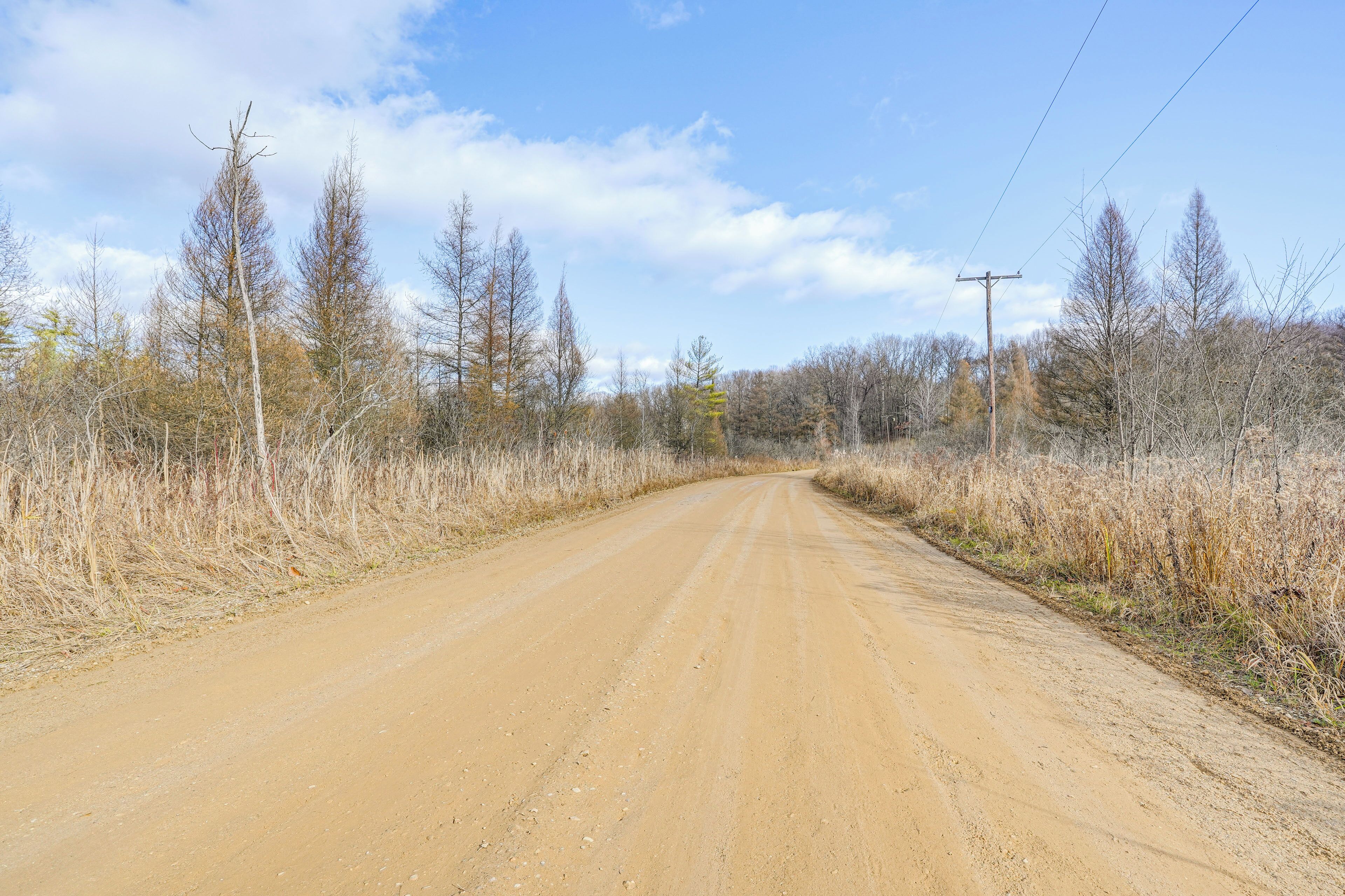 A dirt road flanked by leafless trees and dry grass under a clear sky.