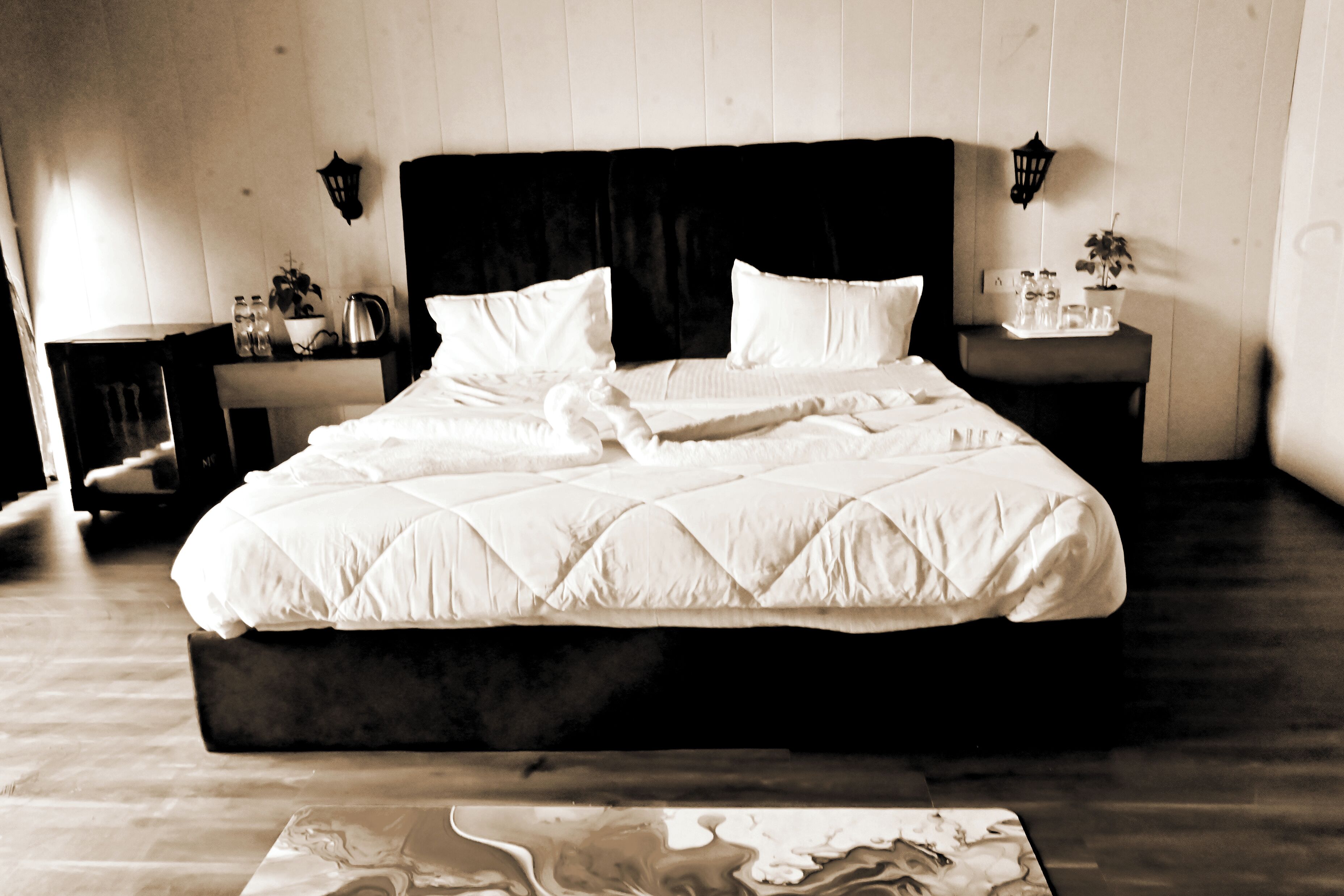 A large bed with a black headboard, white bedding, and two bedside tables with lamps and small plants.