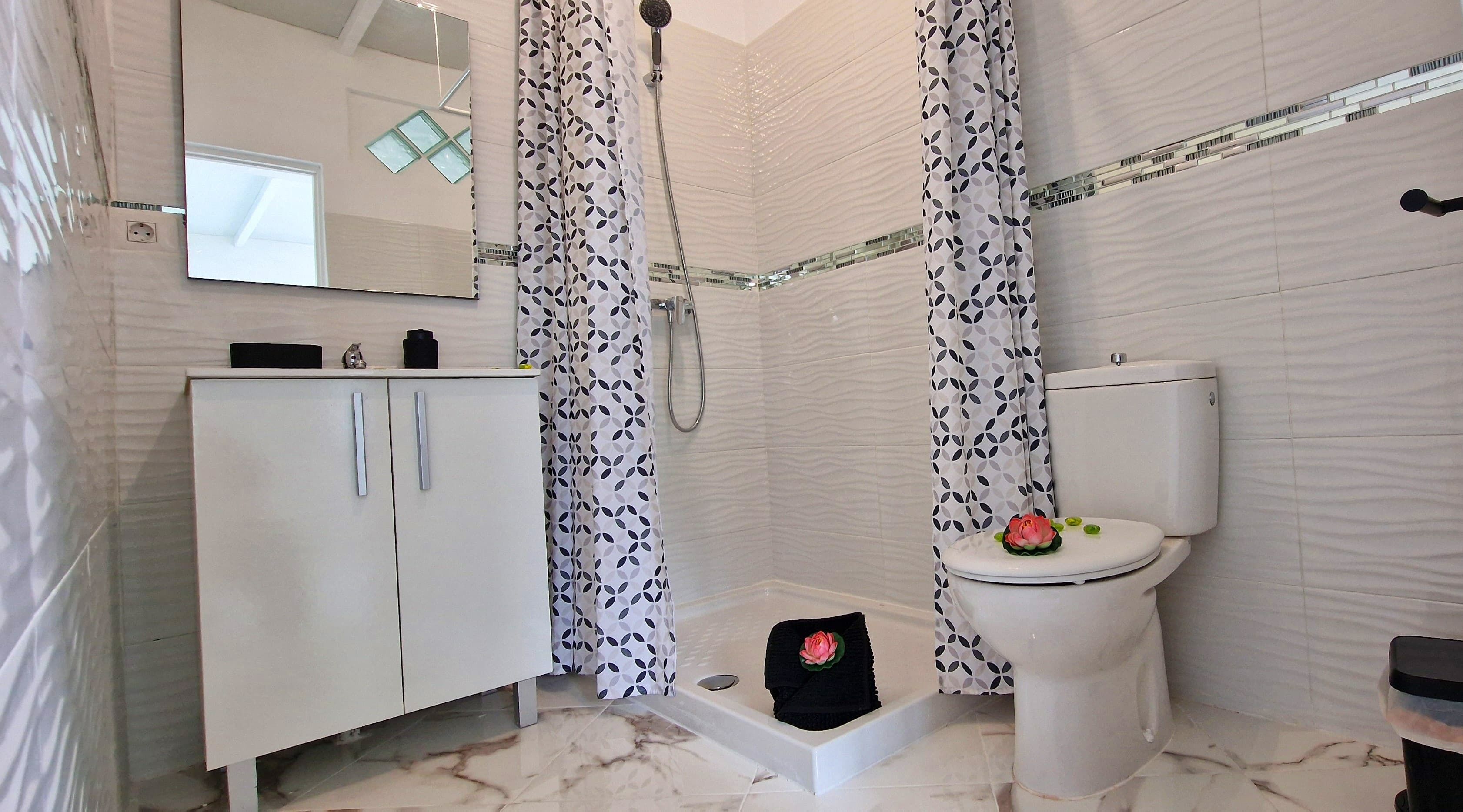 Hair dryer, towels, soap, toilet paper