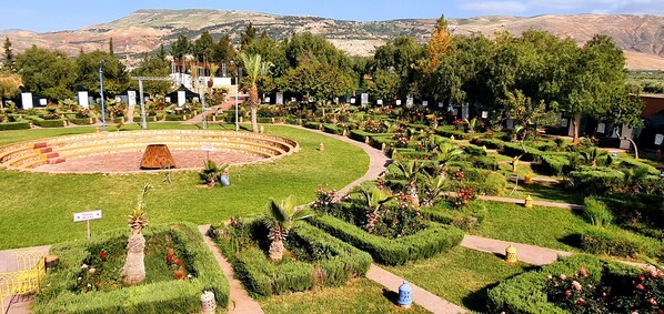 Un jardín paisajístico con un anfiteatro central, senderos y una variedad de plantas y árboles.