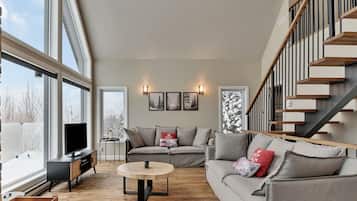 TV, fireplace, books, offices