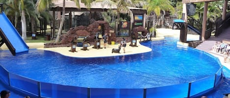 Mobile Home | Pool