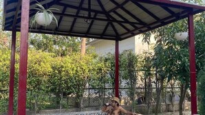 A covered hot tub with a tiled floor and a red roof structure. - Luxsugero Farms (Faridabad)