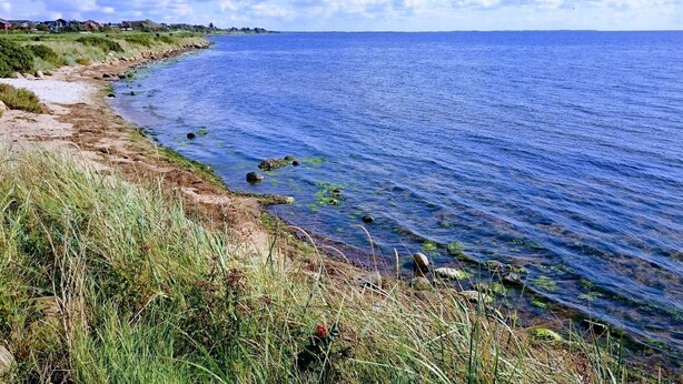 Ett kustlandskap med fri utsikt över havet, en sandstrand och gräsbevuxna områden.
