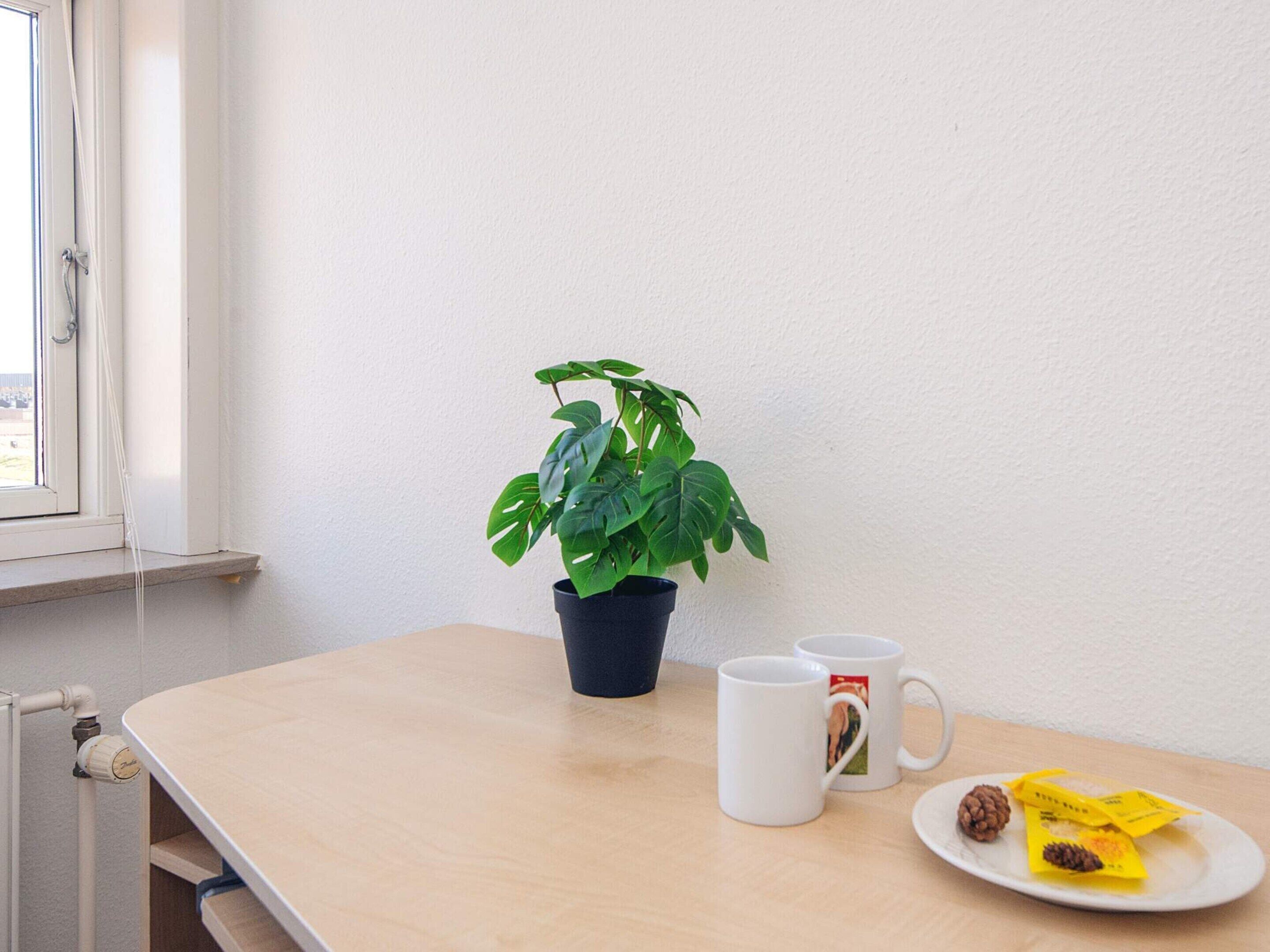 A room with a window, a potted plant, two mugs, and a plate with food.