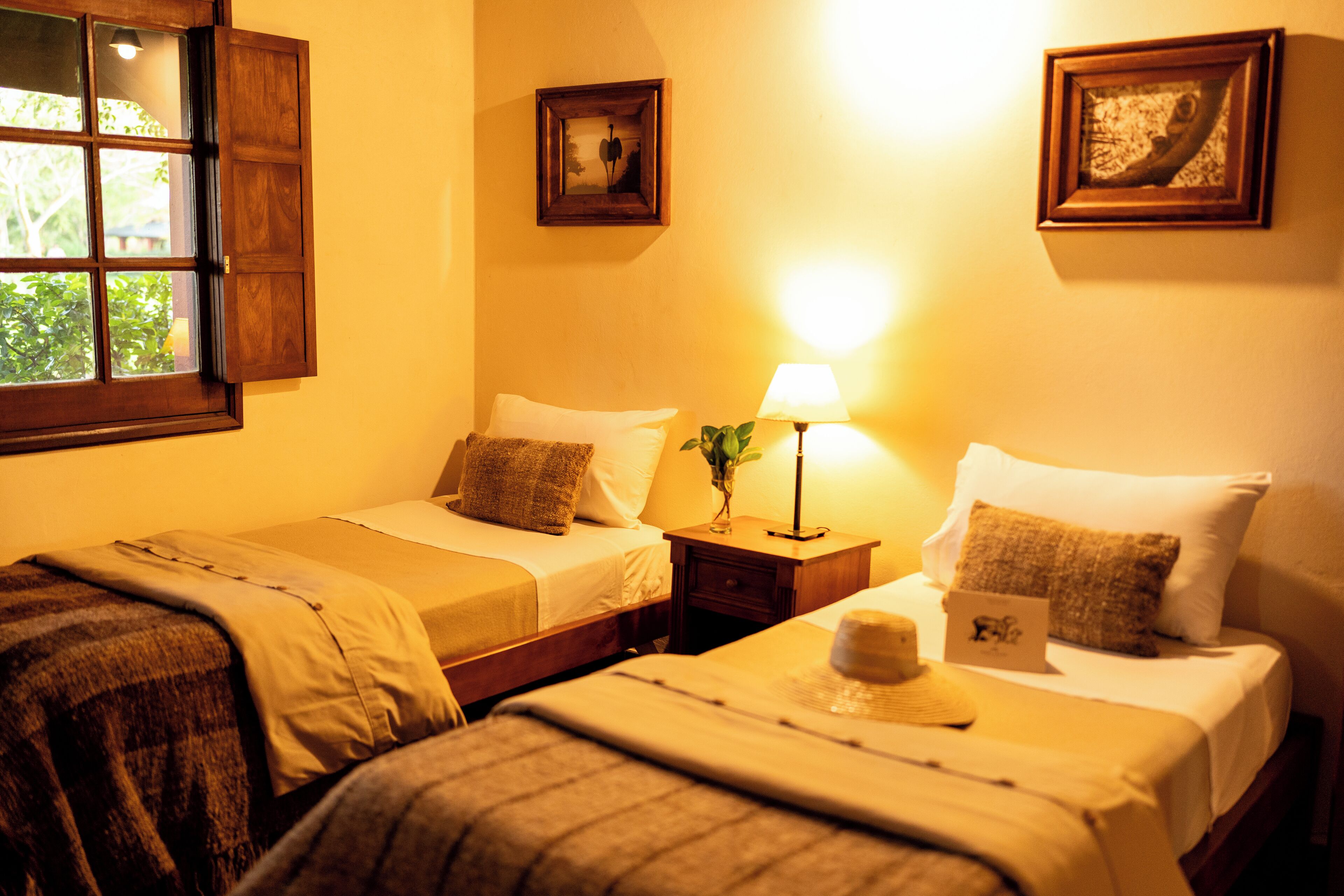 واي فاي مجانًا