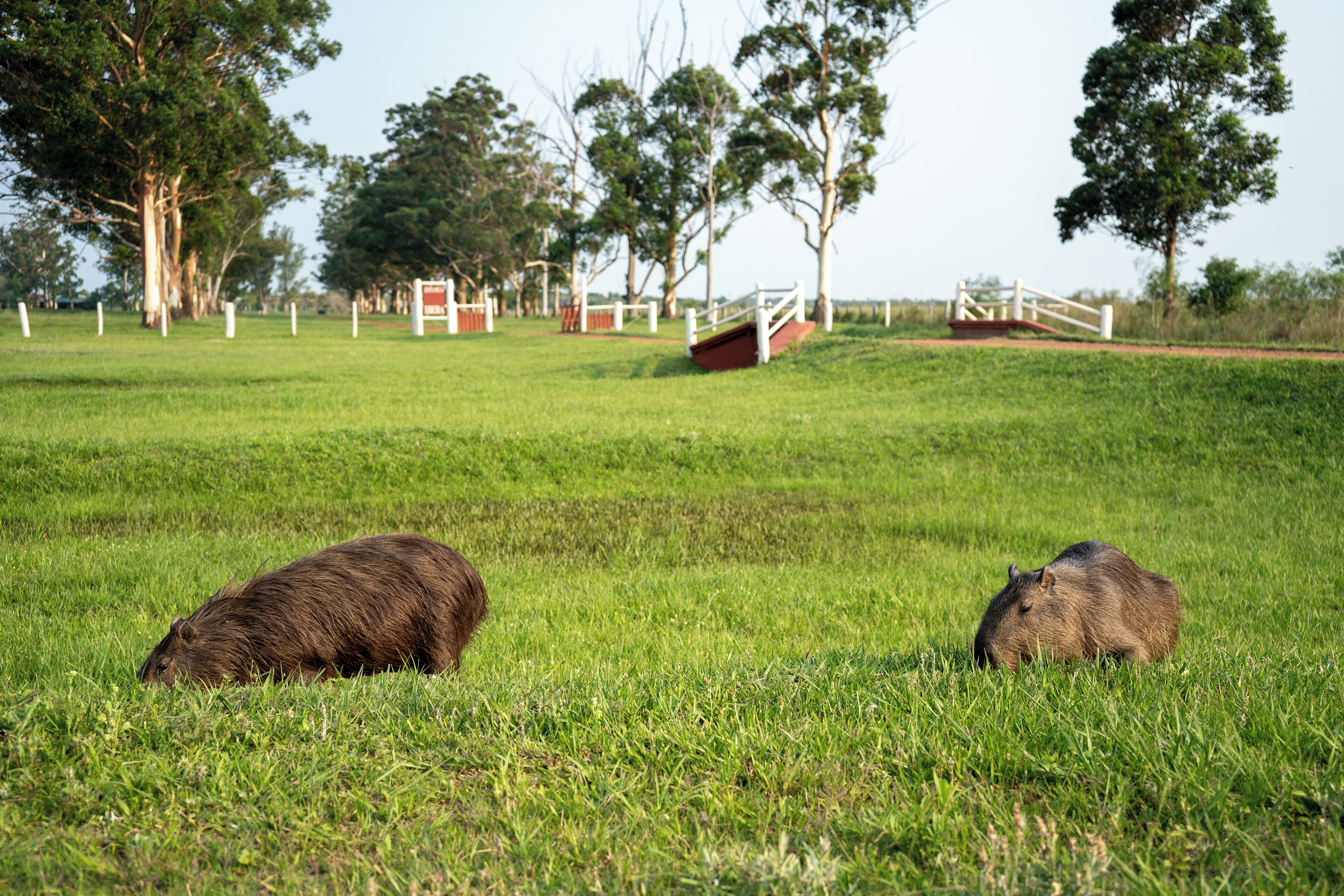 مدخل المنشأة