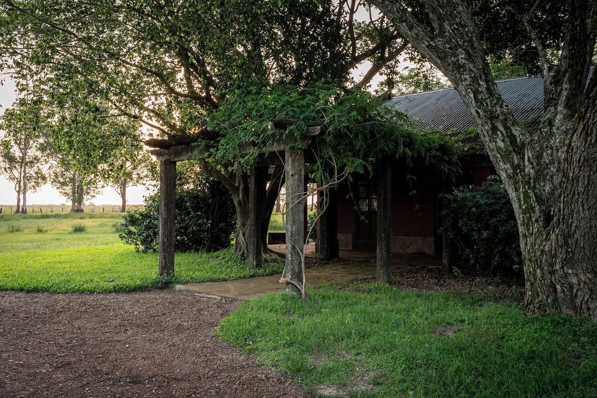 A rustic building with a covered porch supported by trees, surrounded by a grassy area and a dirt path.