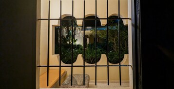 Vista desde la habitación