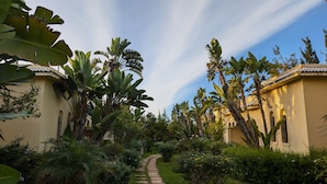 A pathway leading to a building surrounded by lush greenery and banana trees. - Les Cypres Hotel Restaurant  (Moulay Abdallah)