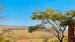 A stone table and benches in a grassy area with a tree and a clear blue sky. - Casa da Namaacha

 (Naamacha)