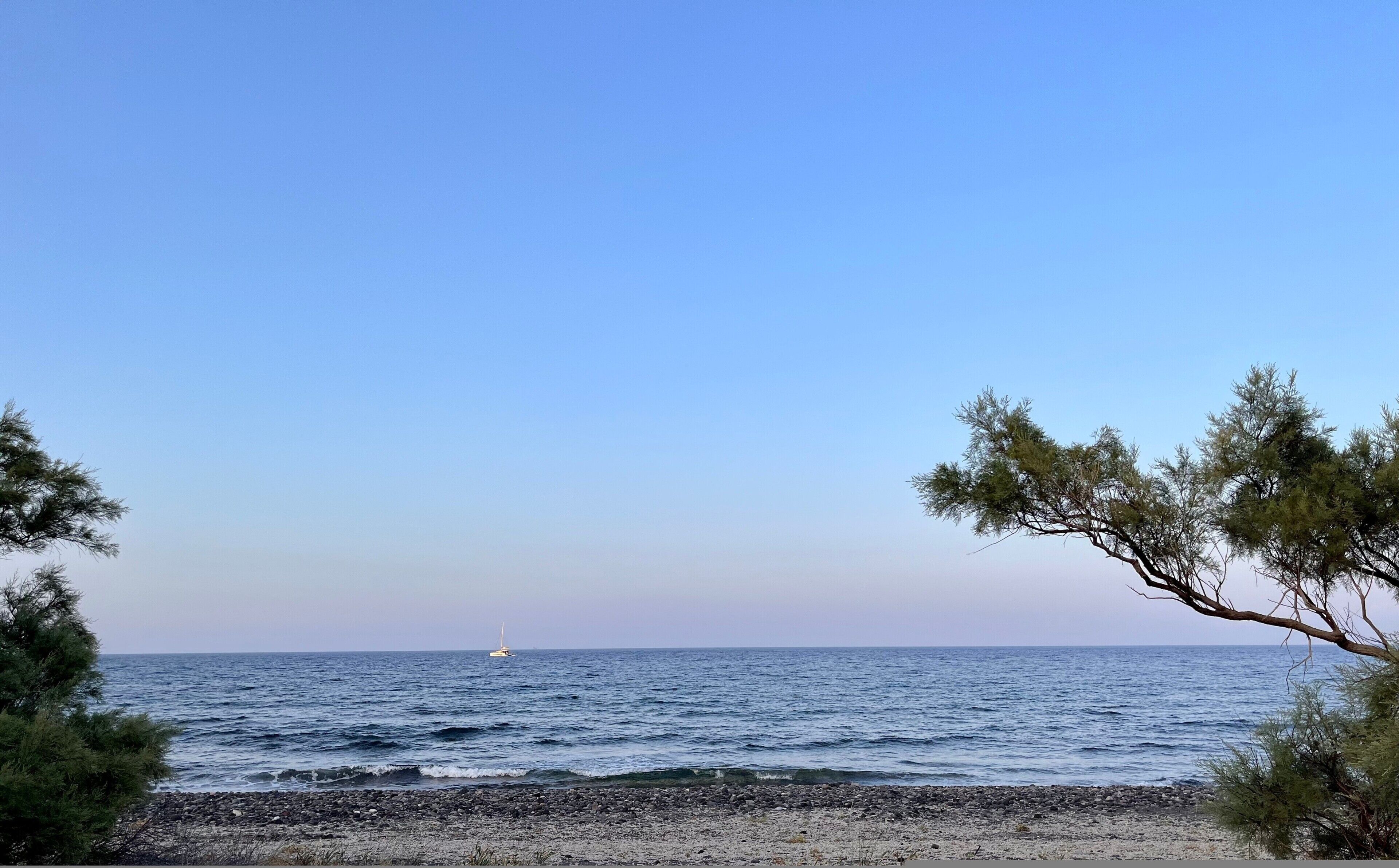 A beach with a sailboat on the water, rocky shore, and pine trees.