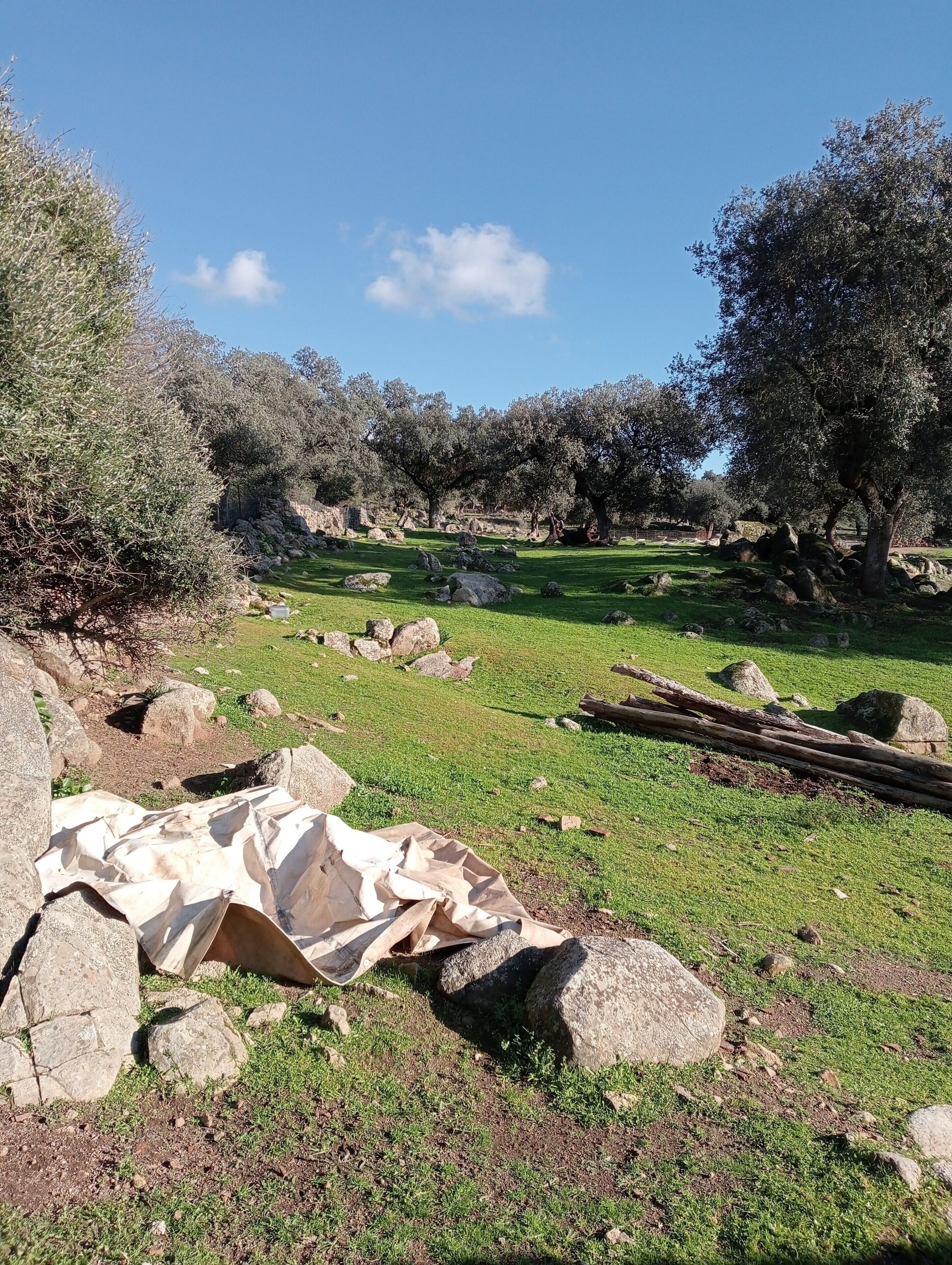 Terrein van de accommodatie