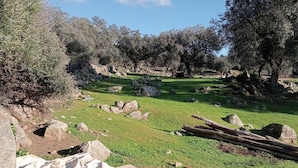 A grassy area with large rocks and trees. - Cottage 'El Granero' with Shared Pool and Shared Garden (El Real De La Jara)