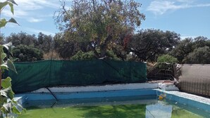 A swimming pool with a greenish water surface, surrounded by a concrete deck and a green netted area. - Cottage 'El Granero' with Shared Pool and Shared Garden (El Real De La Jara)